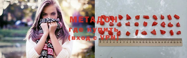 прущие грибы Михайлов