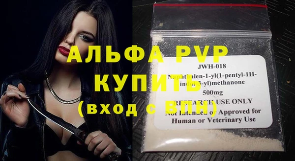 прущие грибы Михайлов