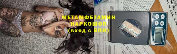 прущие грибы Михайлов